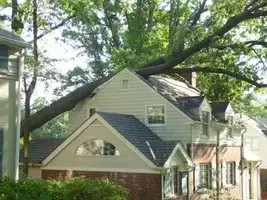 Storm Damage - tree on roof in West Chester OH