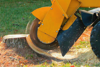 Tree Stump Grinding, West Chester OH